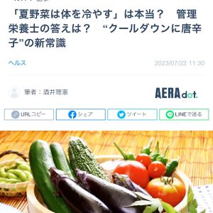 夏野菜は体を冷やす